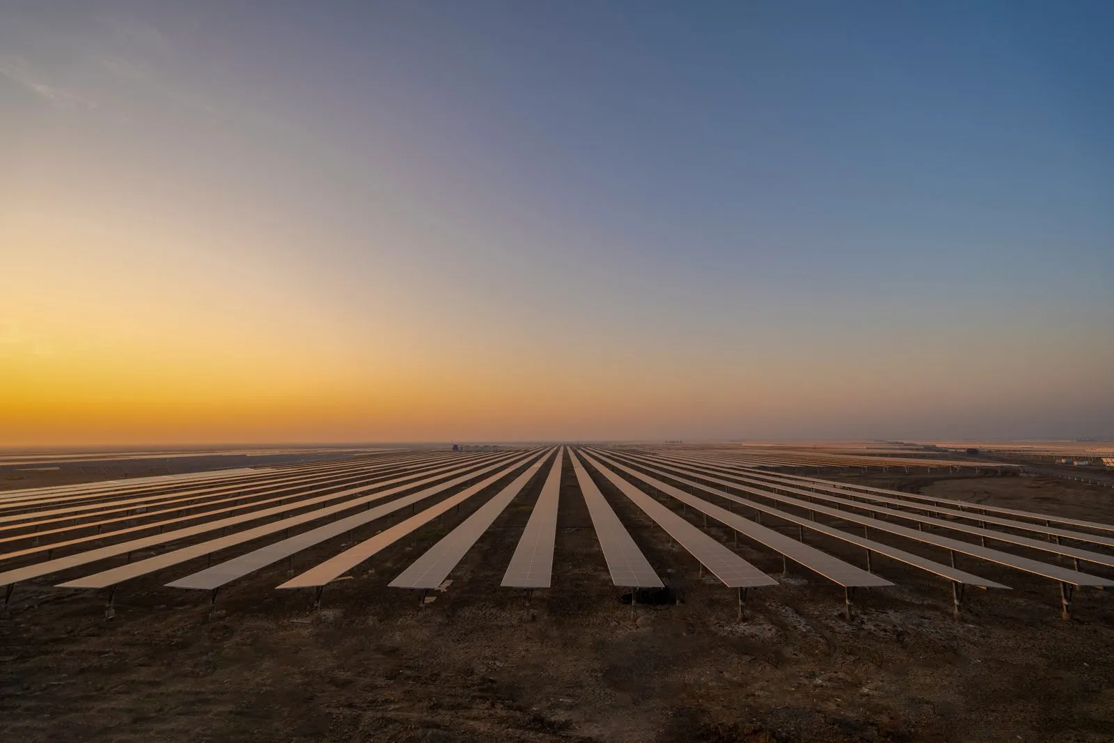 Rows of solar panels at the Dholera ultra mega solar park